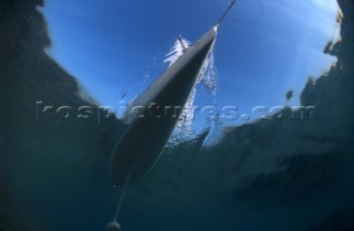 Hull of yacht seen from underwater.
