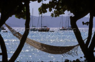 Hammock between two trees by the beach, Caribbean