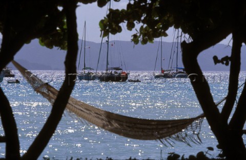 Hammock between two trees by the beach Caribbean 