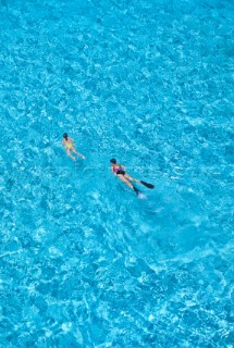 Two people snorkelling in clear, shallow water - Caribbean
