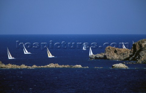 Swans racing in the waters off Porto Cervo Sardinia