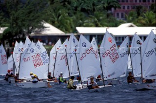 Fleet of Optimist dinghies in Martinique