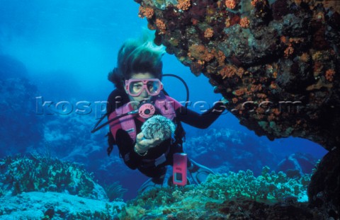 Diver with urchin British Virgin Islands