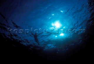 A silhouetted figure swimming on the surface in clear blue sea