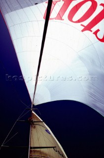 Mast, Spinnaker and Main sail