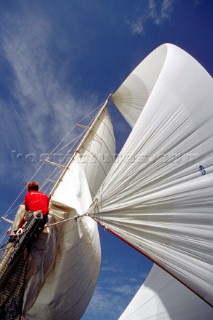 Bowman on bowsprit behind huge spinnaker of classic schooner Adela