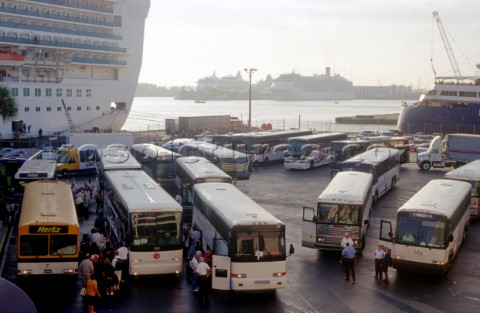 Port Everglades  Cruise Ship passenger buses