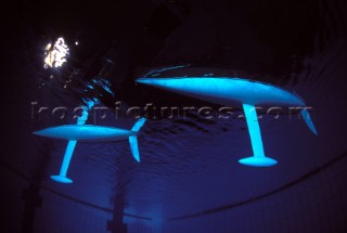 Model yachts racing in a blue swimming pool shot from underwater with lighting, showing keels and rudders