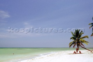 Three people sitting under the shade of a palm tree on a deserted tropical beach
