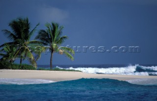 Two green palm trees on a desert islamd with sandy beach and breaking waves over a reef