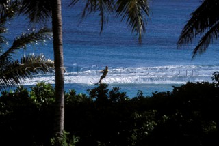 Waterskier on clear blue water through palm trees