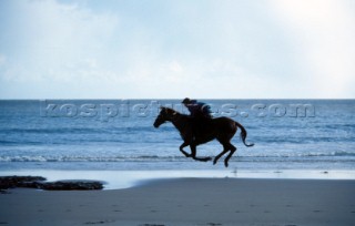 Horse and rider galloping along beach