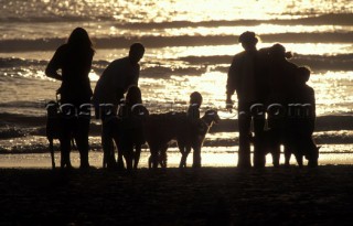 Group of friends with on the beach with their dogs at sunset