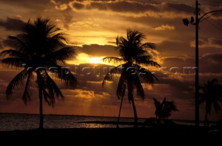 Sunset & Palm Trees Seascape