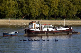 A line of geese swim by a moored barge on the river Thames London.