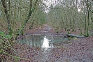 Stream running through woodland