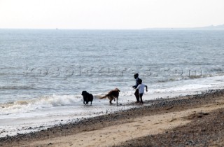 Children with dogs on Southwold beach.