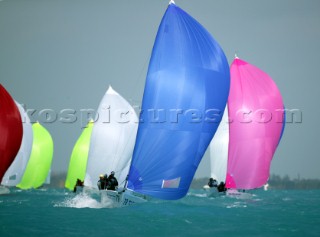 Melges 24 fleet running downwind at Key West Race Week 2004