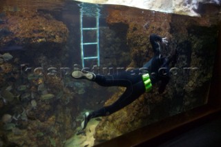 Man cleaning aquarium tank in Barcelona