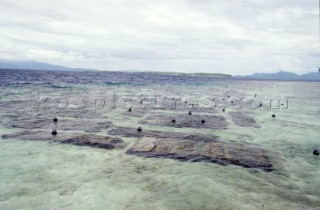 Isola di Ceram. PerleCeram island. Pearls. Ph.Carlo Borlenghi /