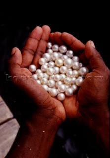 Perle australianeAustralian pearls. Ph.Carlo Borlenghi /