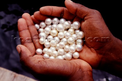 Perle australianeAustralian pearls PhCarlo Borlenghi    
