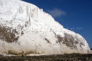 White cliffes of dover