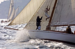 Crew member climbs rigging on small classic sloop
