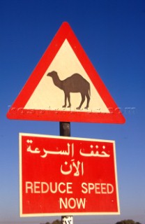 Road sign, Dubai - United Arab Emirates.