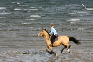Horse and rider galloping over sand.