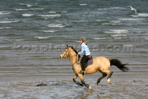 Horse and rider galloping over sand 