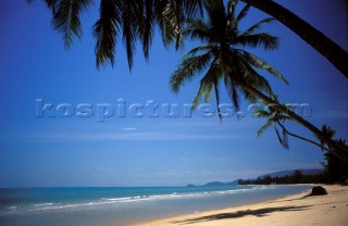 Sandy beach and palm trees under clear blue sky, Australia