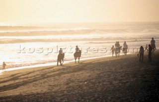 Group of horse riders on sandy beach