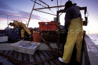 Fishermen in Solent at dawn, UK