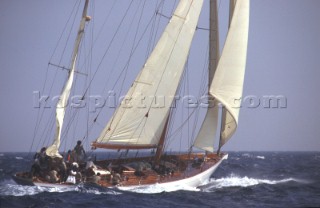 Classic yacht Norwind under full sail. Length: 88Õ. Builder: Burmeister, 1938. Naval architecture: A Gruber.