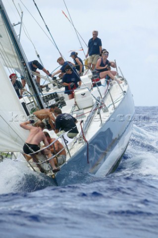 Antigua Sailing Week 2003 Maiden