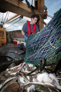 Fisherman hauling in heavy nets on the deck of fishing boat