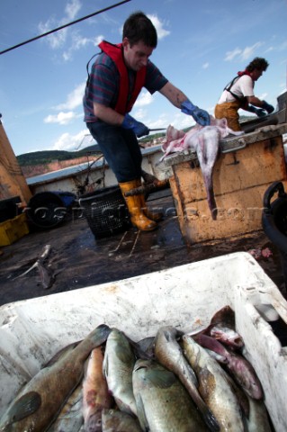 Fishermen gutting and cutting up catch on fishing boat