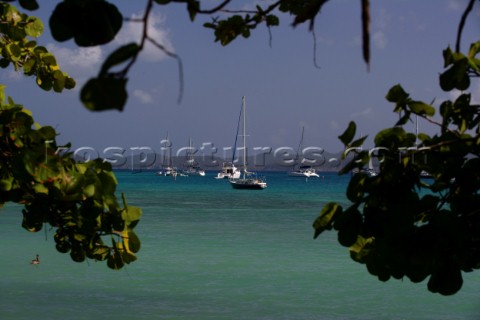 Jost Van Dyke Island  British Virgin Islands  Landscape near Great Harbour with moored boats