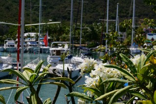 Tortola Island - British Virgin Islands - CaribbeanNanny Cay -The Marina