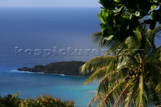 Tortola Island - British Virgin Islands - Caribbean -Landscape with Palm Tree