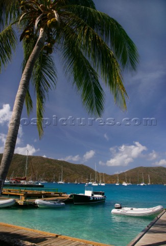 Virgin Gorda  British Virgin Islands  Caribbean Moored Boats