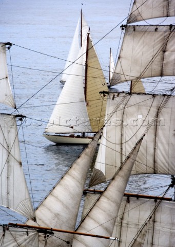 Classic yachts at the start of the Rolex Transatlantic Challenge 2005