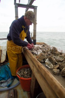 Oyster fishing Whitstable Kent, for Pacific and Native Oysters on the the traditional Oyster beds on the North Kent Coast of England