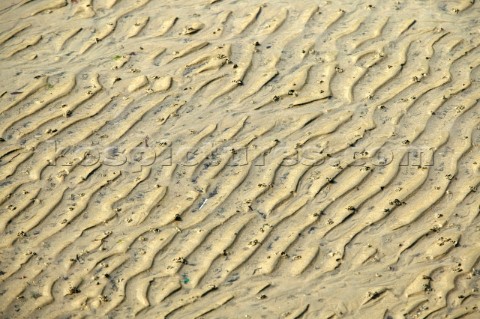 Texture on a sandy beach