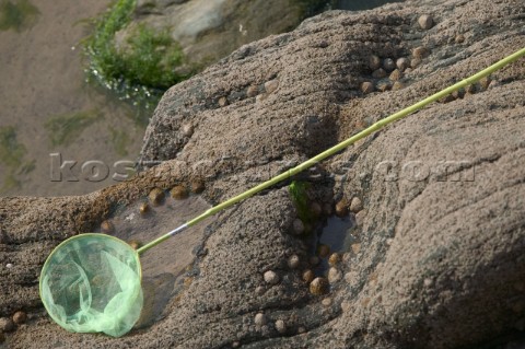 Childs fishing net resting on rocks on the beach