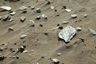 Detail of stones and shells on sandy beach