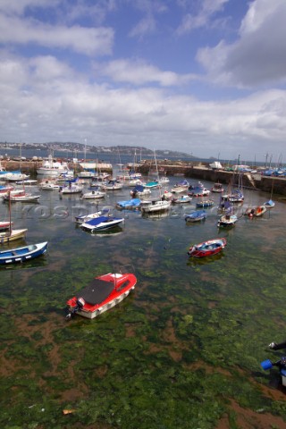 The Harbour at paignton Torbay