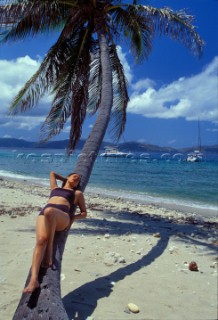 British Virgin Islands - Caribbean. Virgin Gorda.
