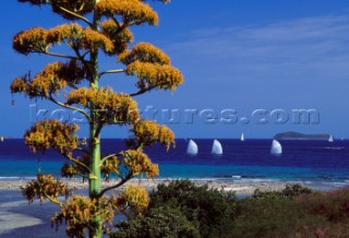 British Virgin Islands - Caribbean -. Lanscape.